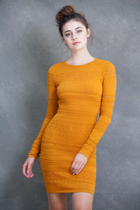 Chloe Long Sleeve Mini Dress - VIAVAI FASHION 